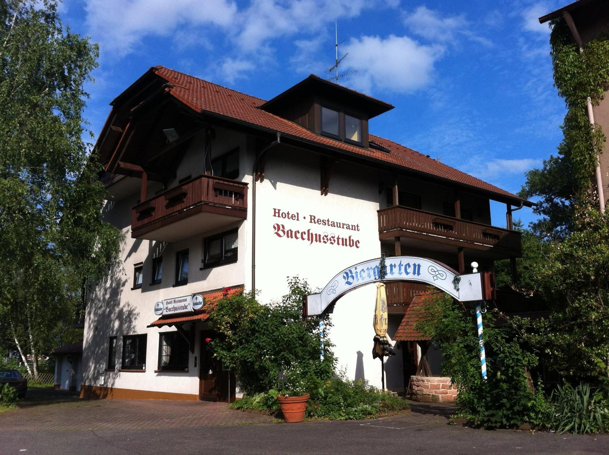 Hotel Bacchusstube Garni Goldbach  エクステリア 写真